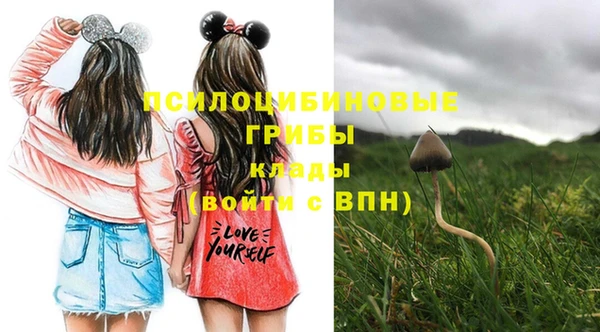 прущая мука Нязепетровск
