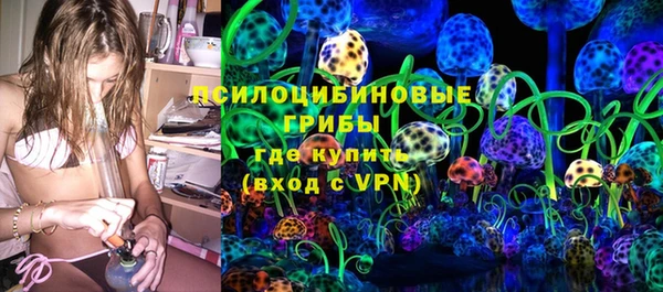 a pvp Новозыбков