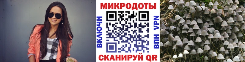 Галлюциногенные грибы Psilocybine cubensis  хочу   Осташков 